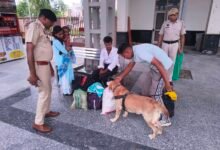हरियाणा पुलिस के स्निफर डॉग्स बने नशा तस्करों के खिलाफ सबसे बड़ी ताकत, 6 महीने में 48 मामलों का खुलासा