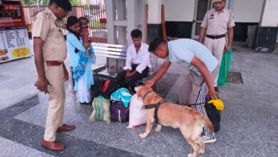 हरियाणा पुलिस के स्निफर डॉग्स बने नशा तस्करों के खिलाफ सबसे बड़ी ताकत, 6 महीने में 48 मामलों का खुलासा