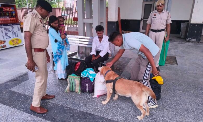 हरियाणा पुलिस के स्निफर डॉग्स बने नशा तस्करों के खिलाफ सबसे बड़ी ताकत, 6 महीने में 48 मामलों का खुलासा